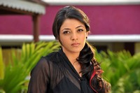 Kajal Latest Photo Gallery